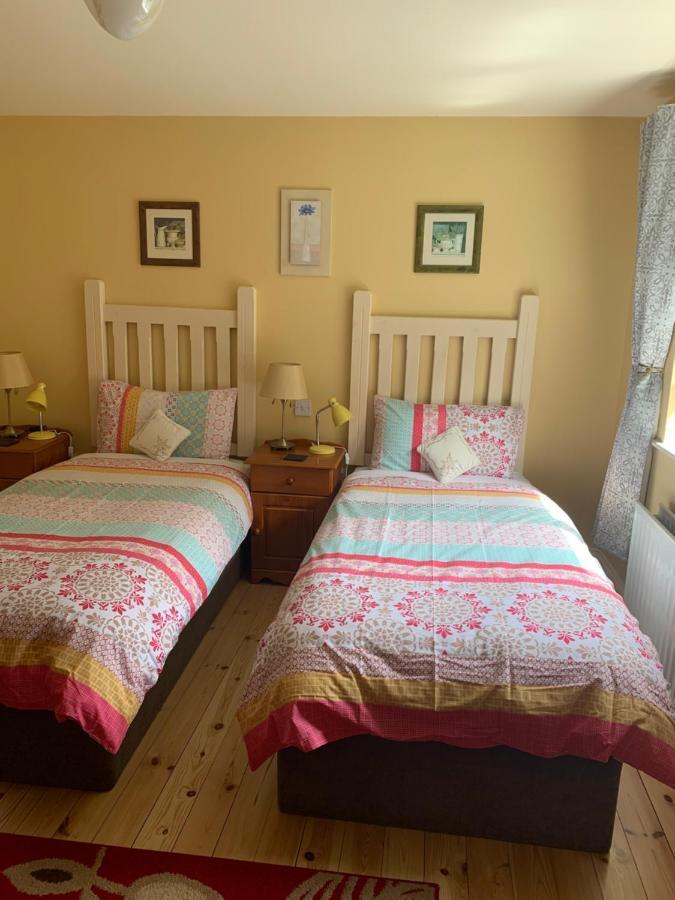 Teac Seain Bar & Bnb Anascaul Екстериор снимка